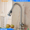 Beelee Brushed Nickel Pull out Kitchen Sink Faucet